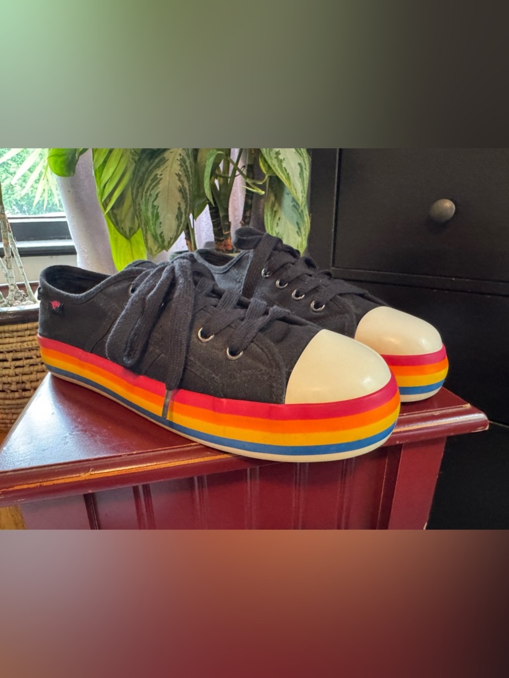 Rocket Dog Magic Canvas Sneakers signature rainbow platform sole